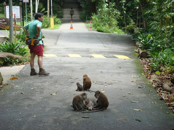 Singapore Nature