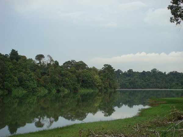 Rifle Range Nature Park